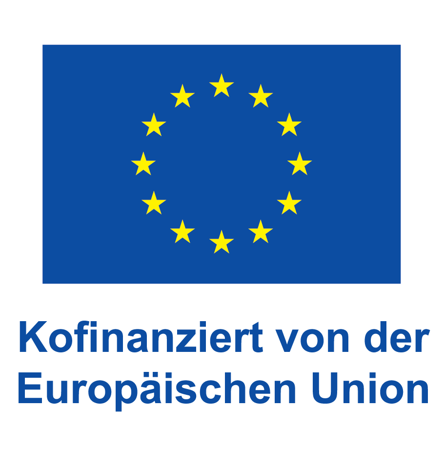 Logo of supporter european union